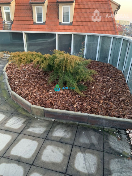 Priestor na bývanie aj na podnikanie!!!!  Priestraný 3 izbový byt v centre mesta s obrovskou terasou.