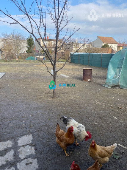 Exkluzívna ponuka - čiastočne  prerobený 4-izbový rodinný dom na predaj v Kútnikoch pri hlavnej ceste 63, 1 km od DS a 47 km od BA