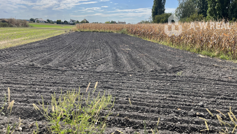 ZNÍŽENÁ CENA! Stavebný pozemok o rozlohe 557 m2 v Holiciach!