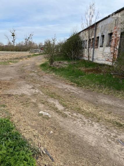 Čenkovce - skladové - prevádzkové priestory na predaj za cenu pozemku