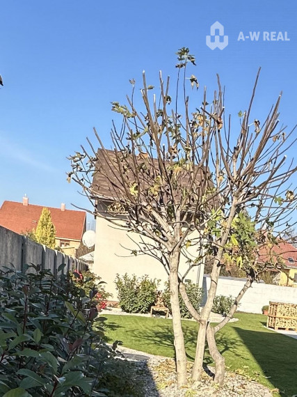 Domček na prenájom od 01. novembra