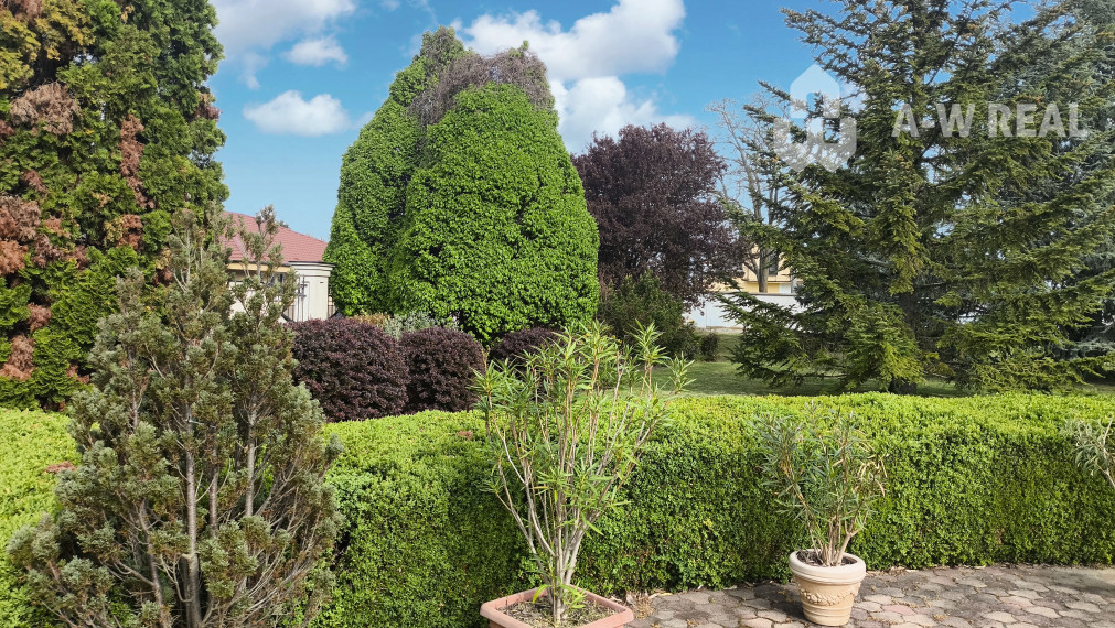 Rodinná vila na predaj v blízkosti mesta Dunajská Streda