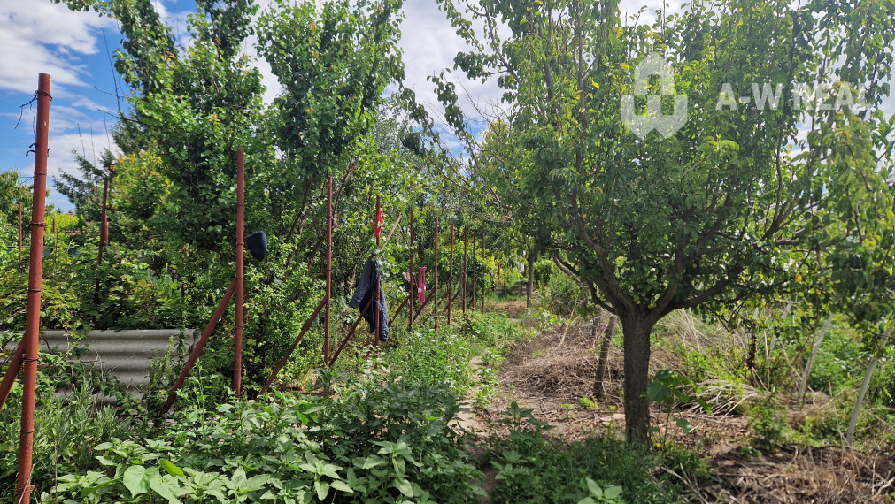 Na predaj 3 izbový rodinný dom s veľkým pozemkom