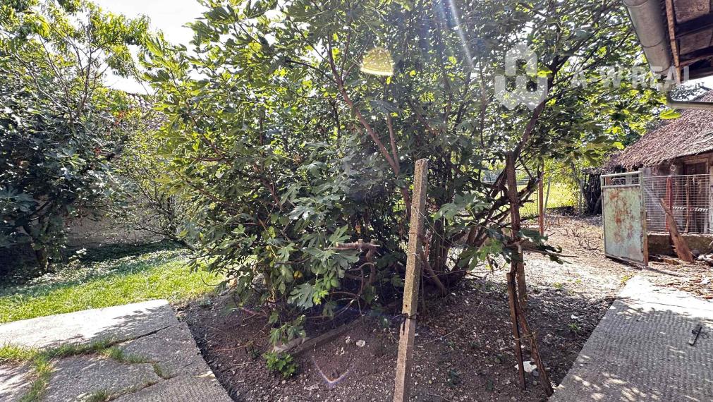 0918197701- Na predaj starší rodinný dom  s  veľkým pozemkom v obci Dunajský Klátov