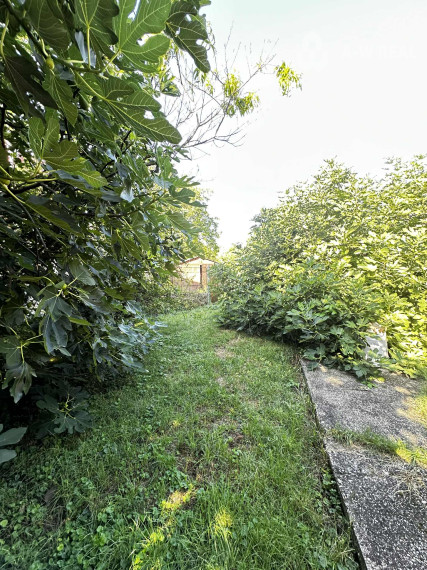 0918197701- Na predaj starší rodinný dom  s  veľkým pozemkom v obci Dunajský Klátov