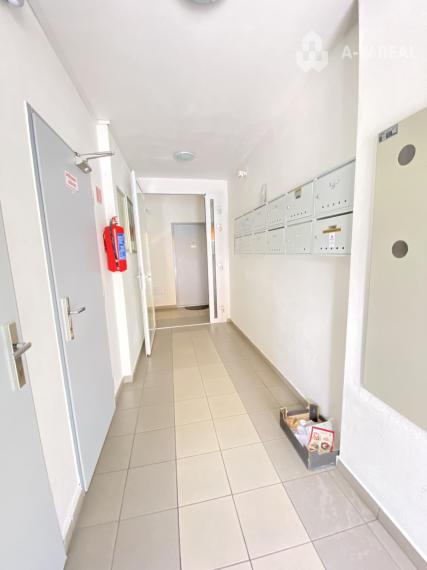 Na prenájom kompletne zariadený 3 izbový byt s 2 balkónmi, s výťahom a  s klimatizáciou na ulici Kráľa Žigmunda od 1-ého NOVEMBRA