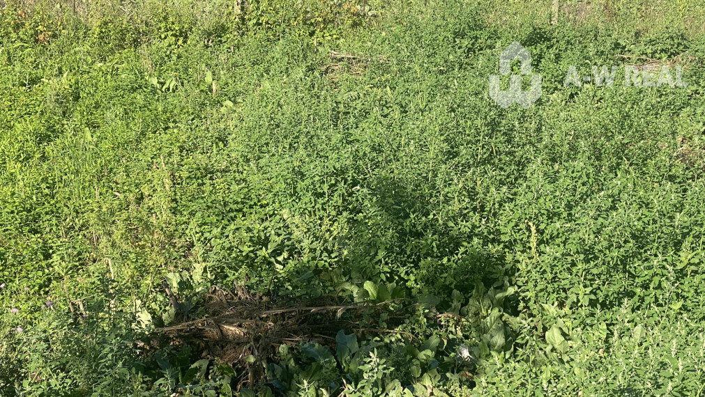 Predám stavebný pozemok v obci Tomášikovo