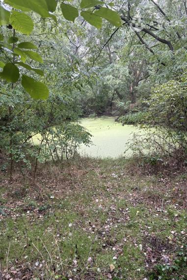 PREDAJ: investičný pozemok v obci Kútniky!!!