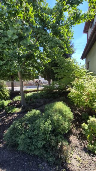 Znížená cena. Dvojgeneračný rodinný dom blízko centra mesta.