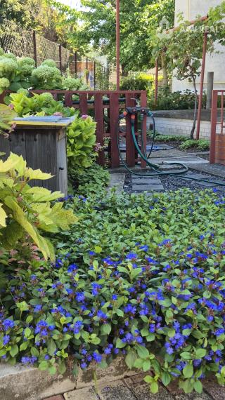 Znížená cena. Dvojgeneračný rodinný dom blízko centra mesta.