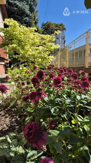 Znížená cena. Dvojgeneračný rodinný dom blízko centra mesta.