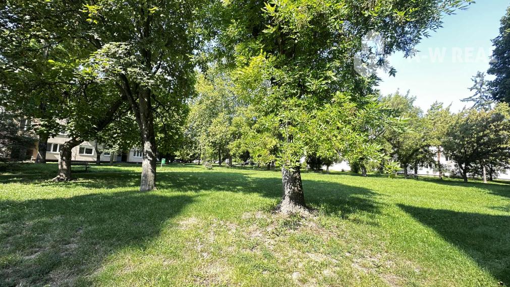 0918197701-Na prenájom  3 izbový byt po rekonštrukcii s balkónom na ulici Ružový háj v Dunajskej Strede