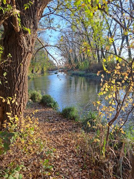 0918197701-Predám stavebný pozemok v obci Kráľov Brod