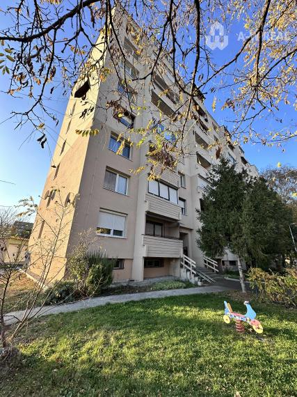 Na prenájom 2 a pol izbový byt v centre mesta  Dunajská Streda