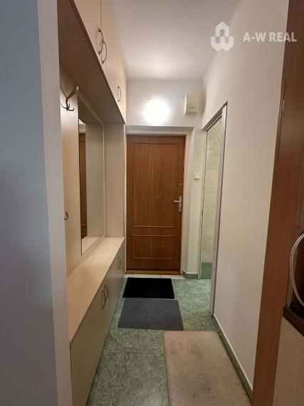 Na prenájom garsónka s balkónom aj s výťahom   v centre mesta DS