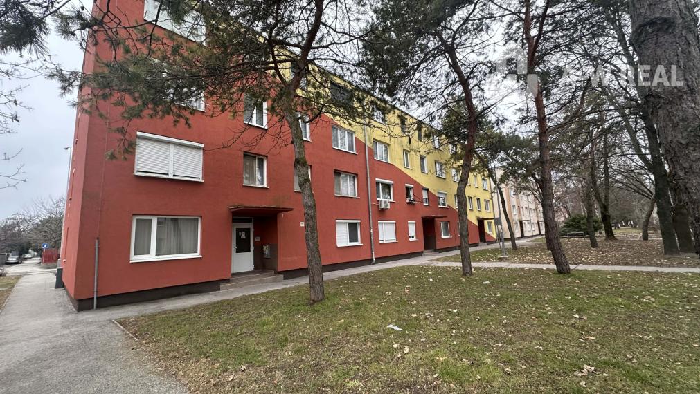 Na prenájom garsónka na ulici Ružový háj v DS