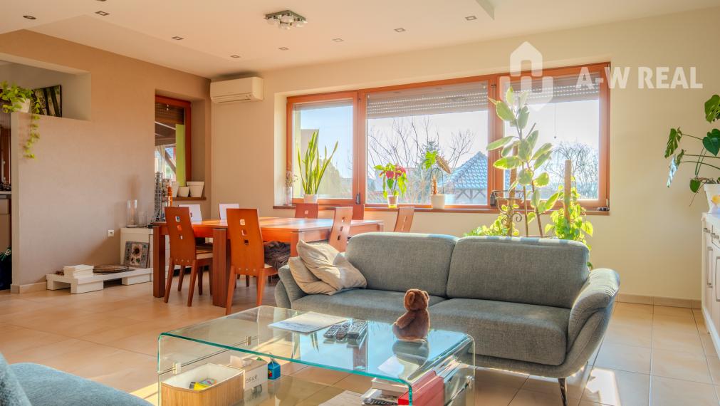 ☎️0917656551 📞Výnimočný, veľkometrážny  7-i rodinný dom s nádherným veľkorysým pozemkom + vedľajšie budovy: ZÁHRADNÝ DOM, DVOJGARÁŽ, ALTÁNOK s pivnicou a vŕtanou studňou v obci Dolný Bar