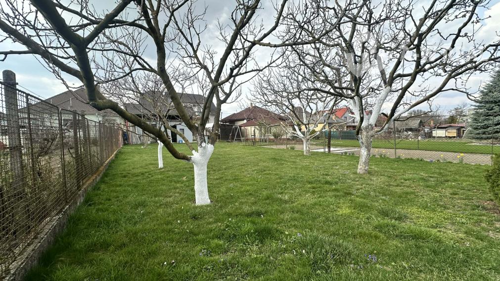 ☎️0918197701   Na predaj 2 generačný,  8 izbový poschodový dom s dvoma samostatnými bytovými jednotkami v tichej a kľudnej časti mesta  ŠAMORÍN