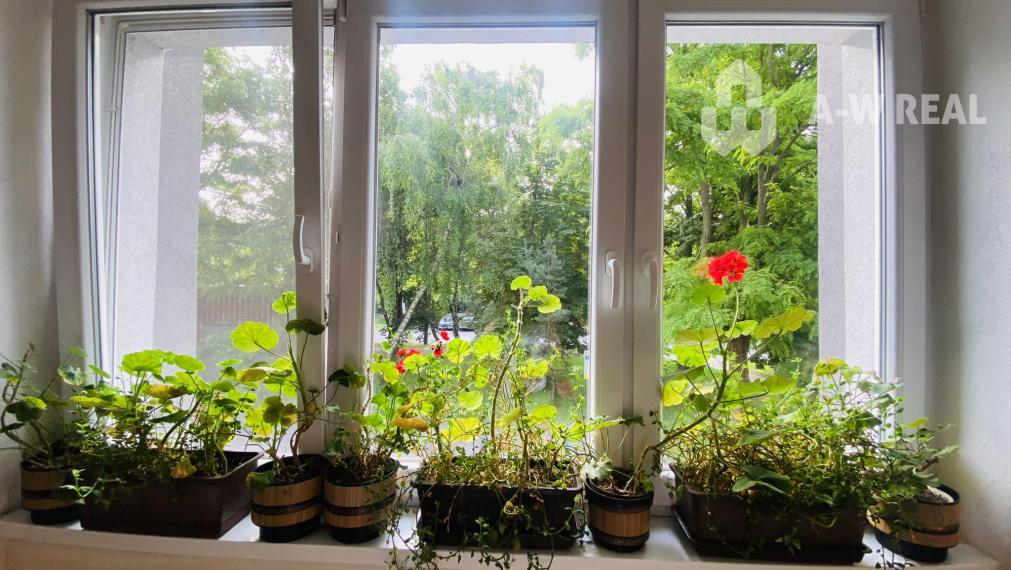 ☎️ 0918197701 Na prenájom  zariadený 1 izbový byt  na sídlisku západ na ul. Generála  Svobodu  v Dunajskej Strede