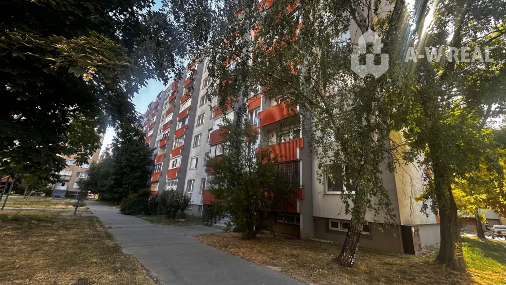 Na prenájom priestranný a čiastočne  zariadený 1 izbový byt  s loggiou  vo východnej časti mesta  - NOVÁ VES  -Dunajská  Streda