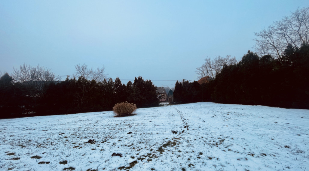 KRÁĽOVIČOVE KRAČANY – POZEMOK NA PREDAJ V CENTRE DEDINY