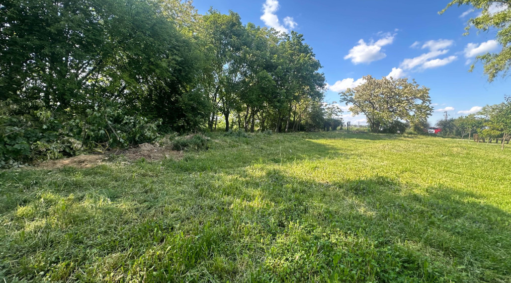☎️ 0918/197 701  🏗️ TOP INVESTÍCIA: Priemyselný pozemok 2 327 m² pri R7 (Blatná na Ostrove)