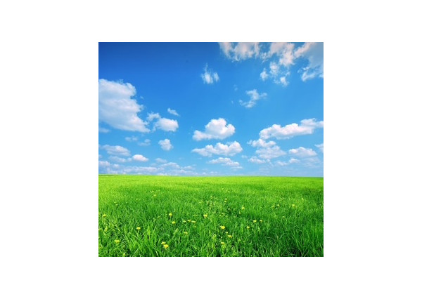 Na predaj pozemok v obci Veľké Dvorníky, 2047 m2