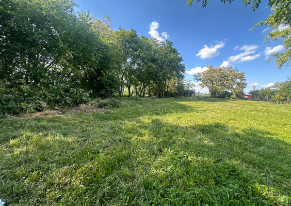 ☎️ 0918/197 701  🏗️ TOP INVESTÍCIA: Priemyselný pozemok 2 327 m² pri R7 (Blatná na Ostrove)